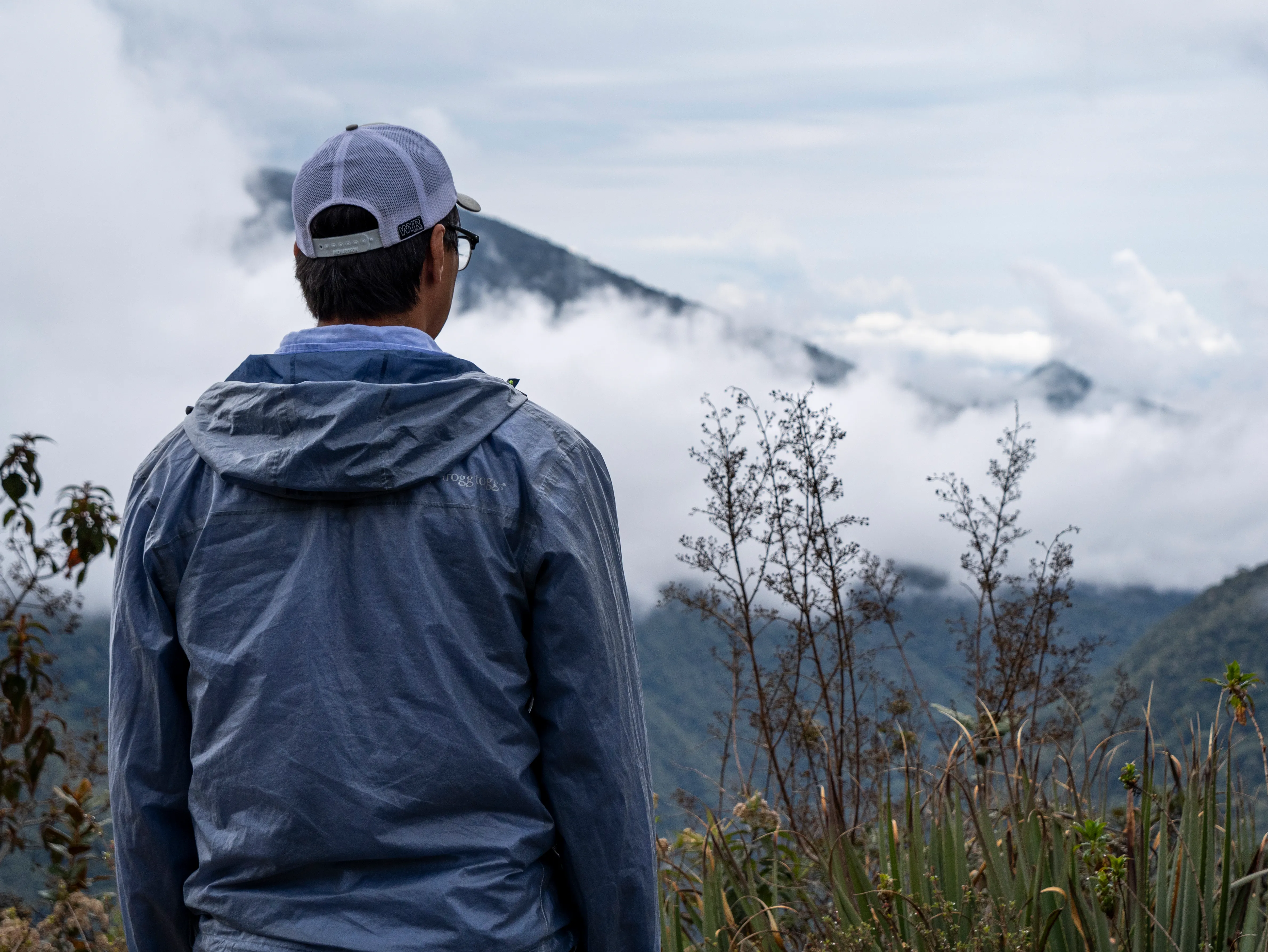 A woman holding binoculars and leaning over a tall balcony above a lush, green forest